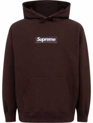 Supreme Box Logo Hnědé | EESB9700