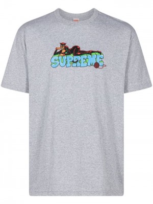 Supreme Catwoman Grafická-print Šedé | LMFU0061