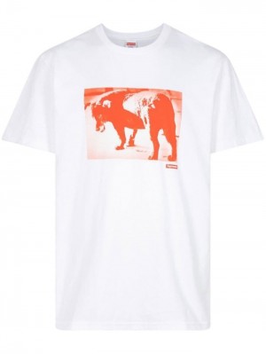 Supreme Daido Moriyama Dog Hnědé | HEXW4691