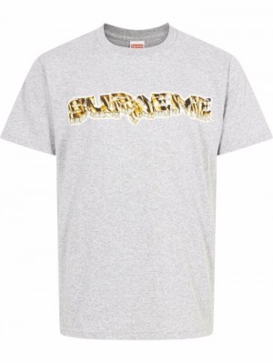 Supreme Diamond Logo-print Šedé | PDWS5473