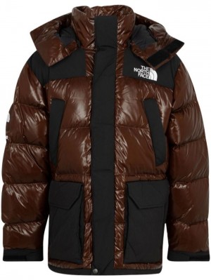 Supreme X The North Face 700-fill Down Parka Hnědé | BTXM9529