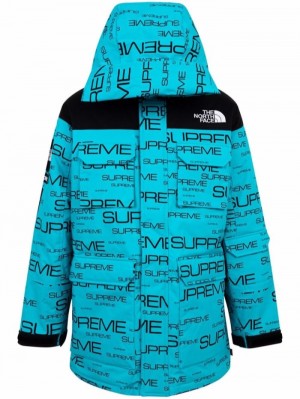 Supreme X The North Face Coldworks 700-fill Down Coat Blankyt | KKRR3380