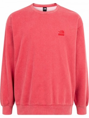 Supreme X The North Face Logo-embroidered Červené | XSMT9170