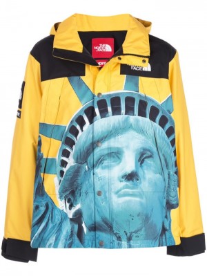 Supreme X The North Face Mountain Jacket Žluté | DJRP5338